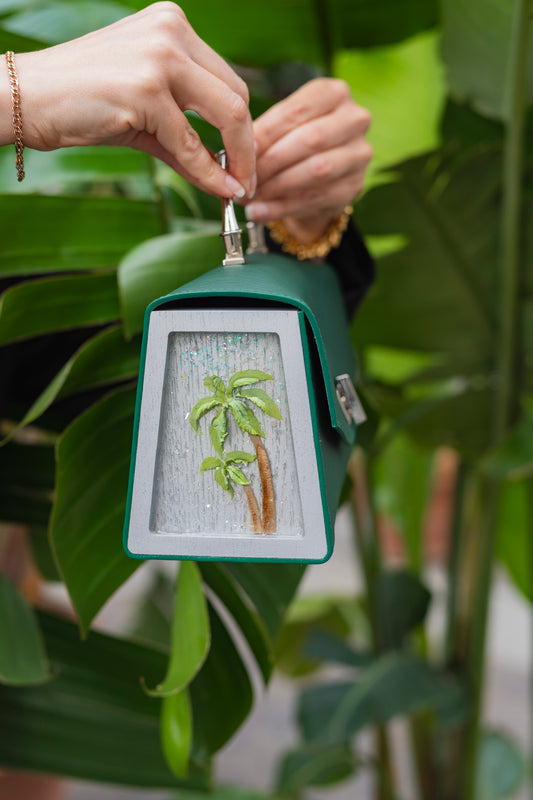 Palm Naomi